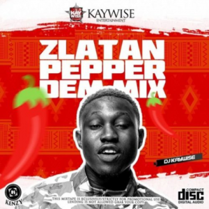 Download Mixtape Mp3:- DJ Kaywise – “Pepper Dem Mix”