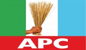A former Commissioner, Abdulkadir Mai, former Council Chairman Ibrahim Kana, former member of House of Assembly Service Commission, Yawale Boltungo and many others, all of Shelleng Local Government Area of Adamawa State, have been suspended from the All Progressives Congress (APC).