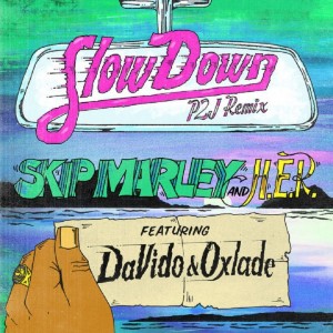 Download Music Mp3:- Skip Marley Ft Davido x Oxlade – Slow Down (Remix)