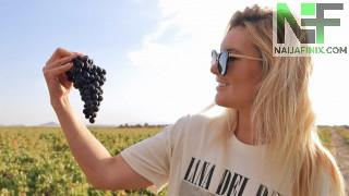 South Africa's wineries have had a very difficult past 12 months, with bans on both domestic alcohol sales and exports. Yet the industry is now hopeful of a brighter future. Winemaker Kiara