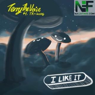 Download Music Mp3:- TerrytheVoice – I Like It Ft Tk-Swag