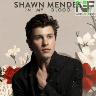 Download Music Mp3:- Shawn Mendes - In My Blood