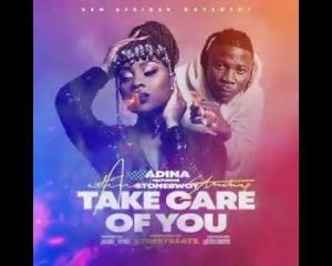 Adina - Take Care Of You Ft. StoneBwoy (MP3 Download) 