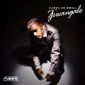 Kabza De Small – Ziwa Ngale Ft. DJ Tira, Young Stunna, Dladla Mshunqisi, Felo Le Tee, Beast, DJ Exit_sa (MP3 Download)