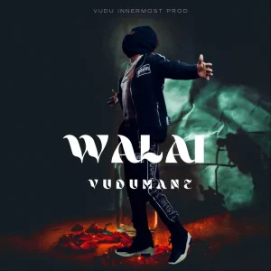 Vudumane – Walai (MP3 Download)