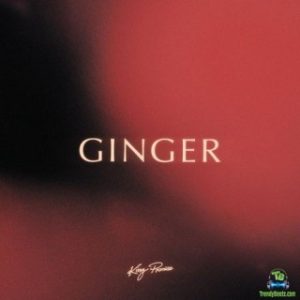 King Promise – Ginger (MP3 Download) 