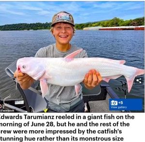15-Year-Old Boy Hooks A Rare Giant Albino Catfish In Tennessee, US
