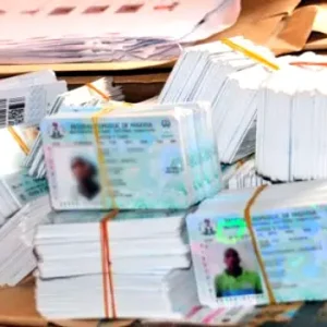 Hunters Discover 320 PVCs In Bayelsa Forest
