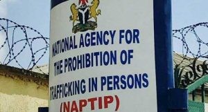 Man Commits Suicide In NAPTIP Detention