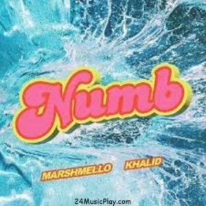 Marshmello & Khalid – Numb (MP3 Download) 