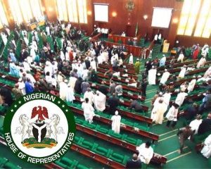 Reps Protest Anambra, Enugu’s Exclusion From FG Agricultural Scheme 
