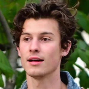 Shawn Mendes Cancels Rest Of Tour To Take Care Of His Mental Health