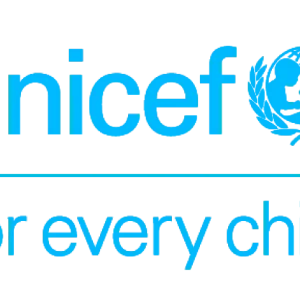 70% of Nigerian Children Suffering From Learning Poverty – UNICEF