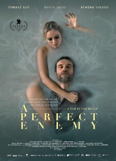 Download Movie:- A Perfect Enemy