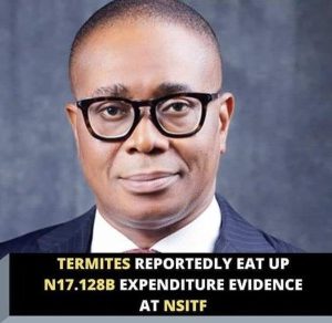 NSITF Blames Termites Over Unknown ₦17.128bn Spending In 2013