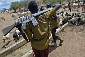 We Are Being R$ped By Herdsmen At Gunpoint In Our Community – Rivers Women Cry Out