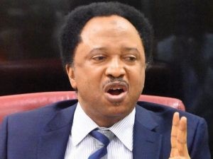You’re Not Fighting Religious War By Kidnapping, Killing Innocent People – Shehu Sani To Bandits