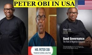 Afegbua: Peter Obi Prefers Globetrotting Rather Than Meeting Voters In Nigeria