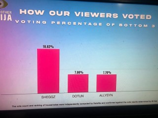 BBNaija: How Viewers Voted For Allysyn, Dotun, And Sheggz