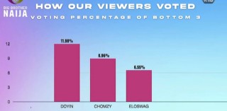 BBnaija: How Viewers Voted For Doyin, Eloswag And Others
