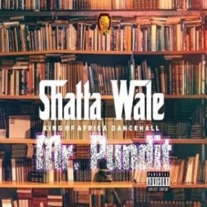 Shatta Wale – Mr Pundit (MP3 Download)