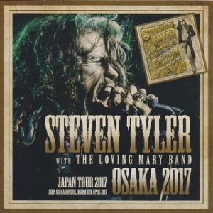 Steven Tyler - What It Takes (MP3 Download)