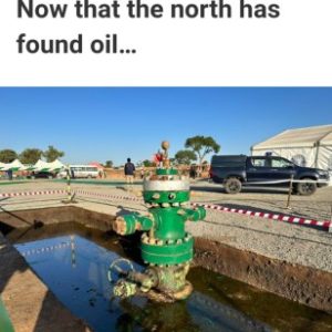 Now That The North Has Found Oil By Simon Kolawole