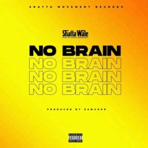 Shatta Wale – No Brain (MP3 Download)