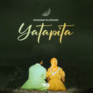 Diamond Platnumz – Yatapita (MP3 Download)