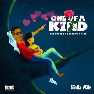 Shatta Wale – One Of A Kind (MP3 Download)