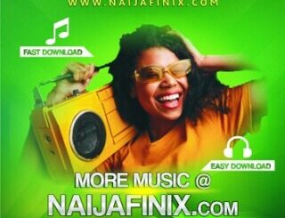 Naijafinix Music Official Logo