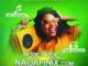 Naijafinix Music Official Logo