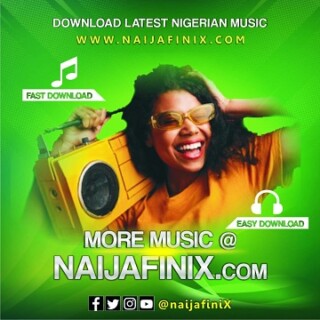 Naijafinix Music Official Logo