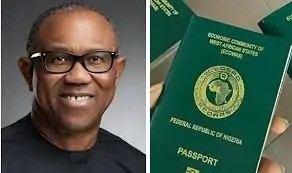 “Passport fee now higher than minimum wage” – Peter Obi blasts FG