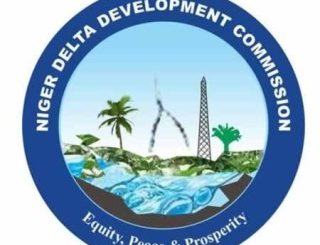 Mr. Joe Abia, stop the constant and unnecessary attacks on the management of the Niger Delta Development Commission (ND