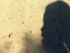 18-Year-Old Teenager Jailed For Raping His 42-Year-Old Aunty